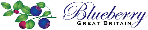 Blueberry London Logo